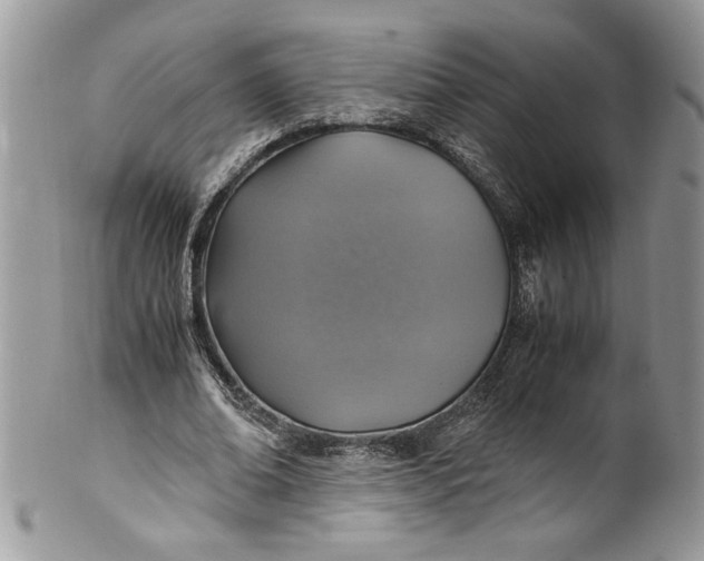 X0000100420678200806201823