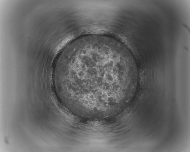 X0000100420679200806201823