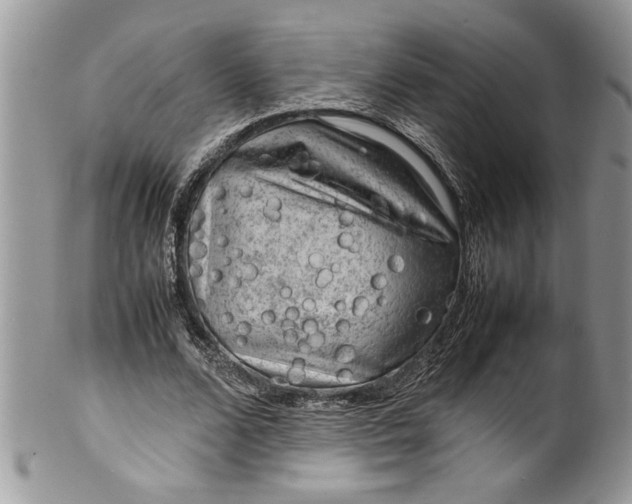 X0000100420680200806201823