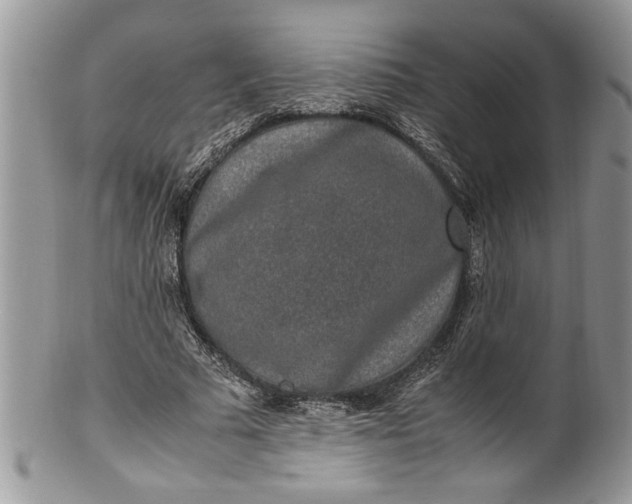X0000100420681200806201823