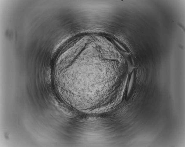 X0000100420684200806201823