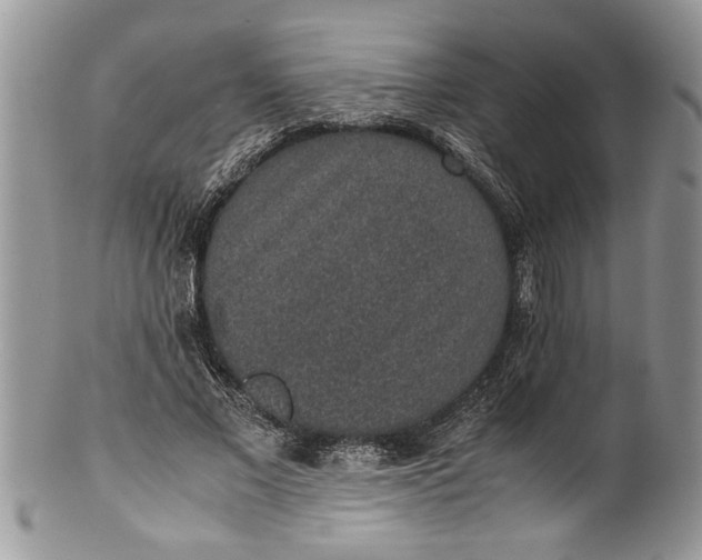 X0000100420685200806201823