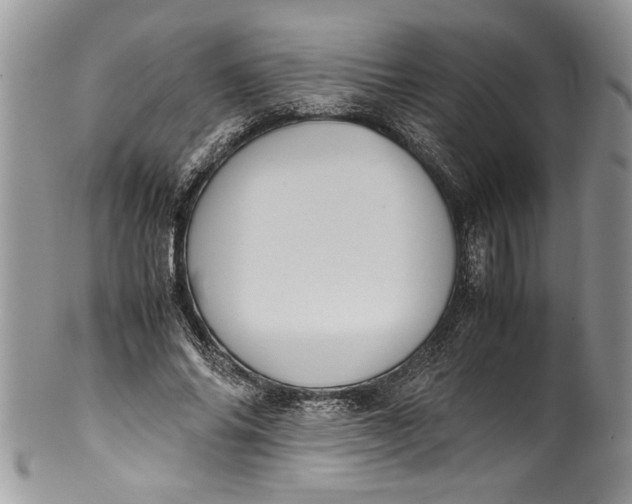 X0000100420686200806201823