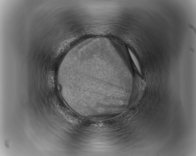 X0000100420688200806201823