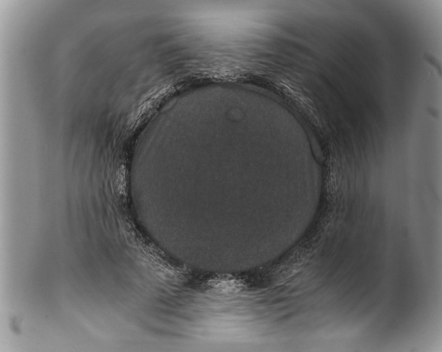 X0000100420689200806201823