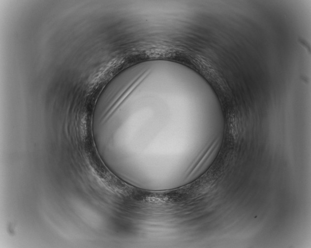 X0000100420690200806201823