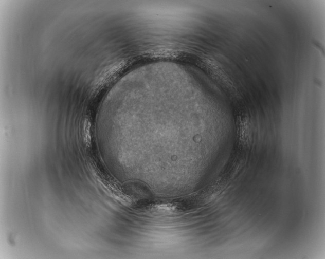 X0000100420692200806201823
