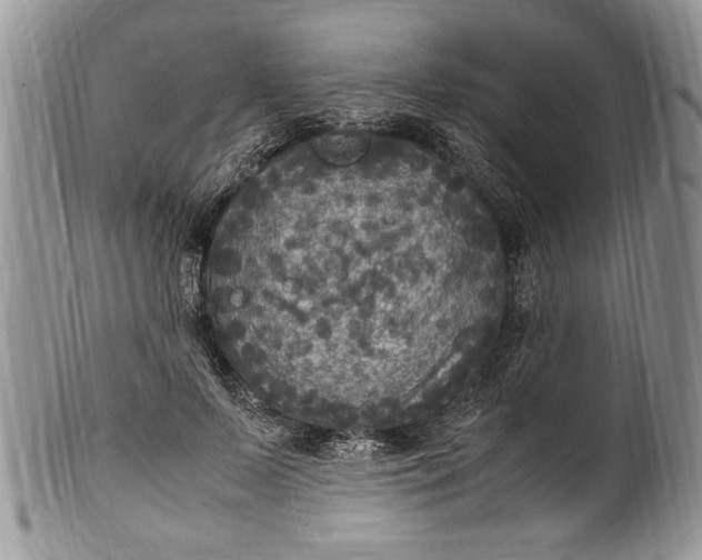 X0000100420695200806201823