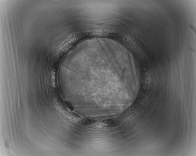 X0000100420696200806201823