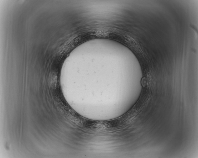 X0000100420697200806201823