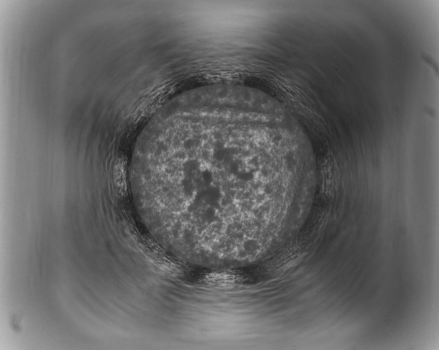 X0000100420699200806201823