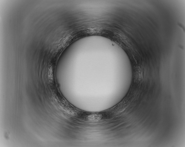X0000100420700200806201823