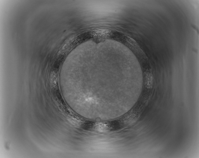 X0000100420701200806201823