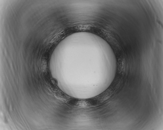 X0000100420704200806201823
