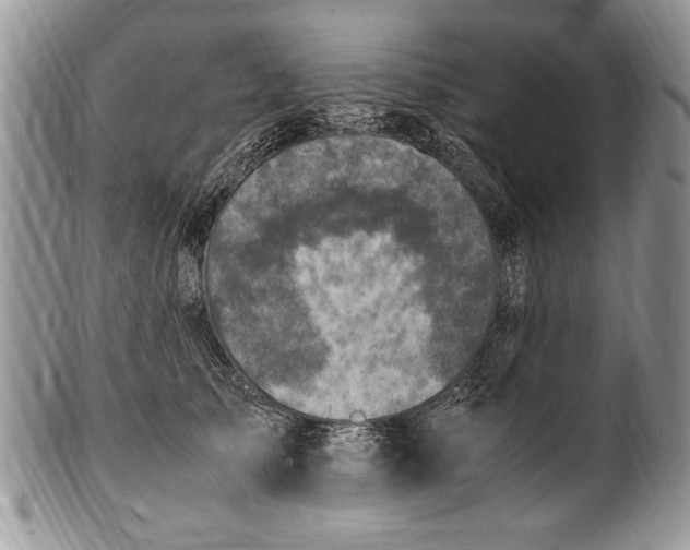 X0000100420705200806201823