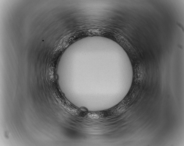 X0000100420706200806201823