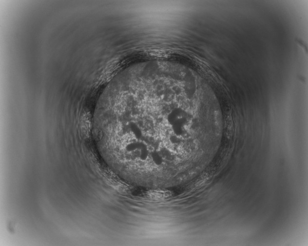 X0000100420707200806201823