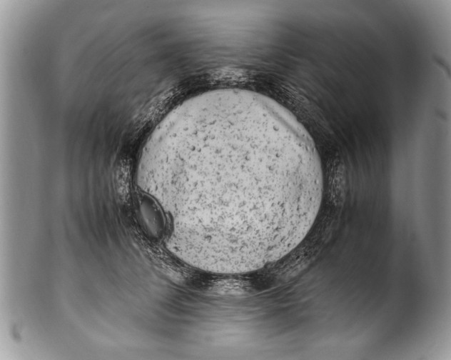 X0000100420708200806201823