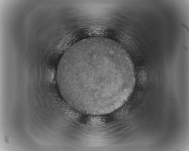X0000100420709200806201823