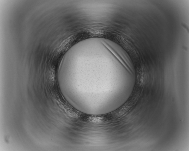 X0000100420710200806201823