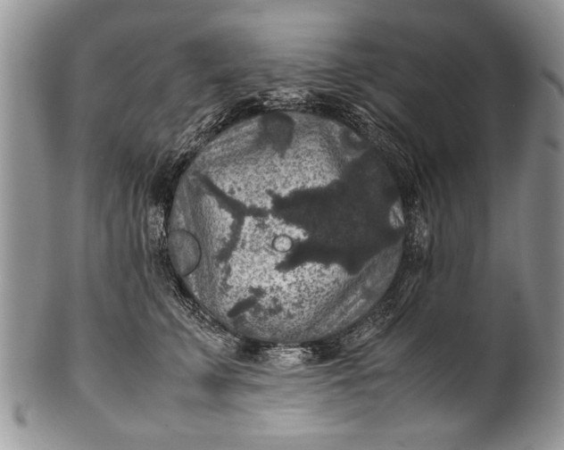X0000100420711200806201823