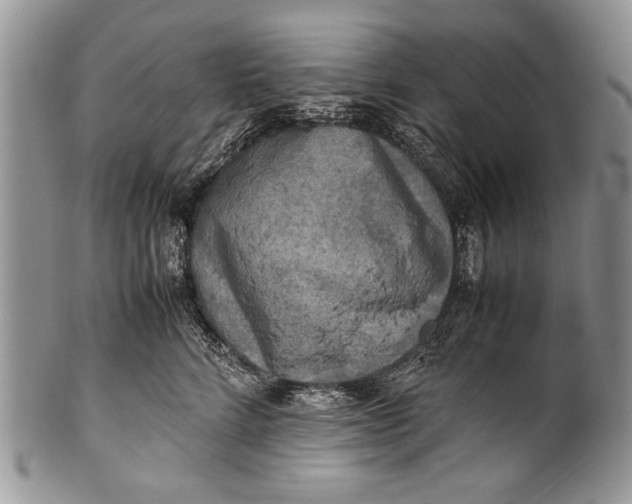 X0000100420712200806201823