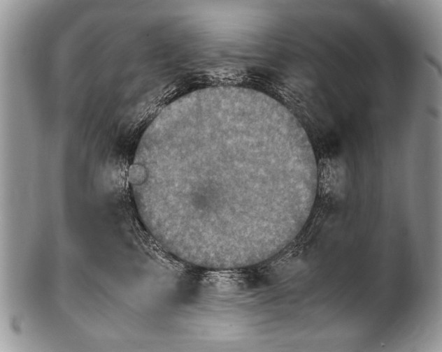 X0000100420713200806201823