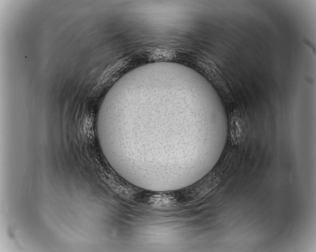 X0000100420714200806201823