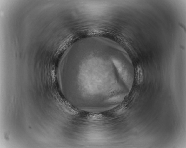 X0000100420716200806201823