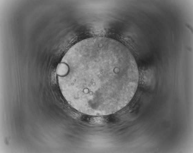 X0000100420717200806201823