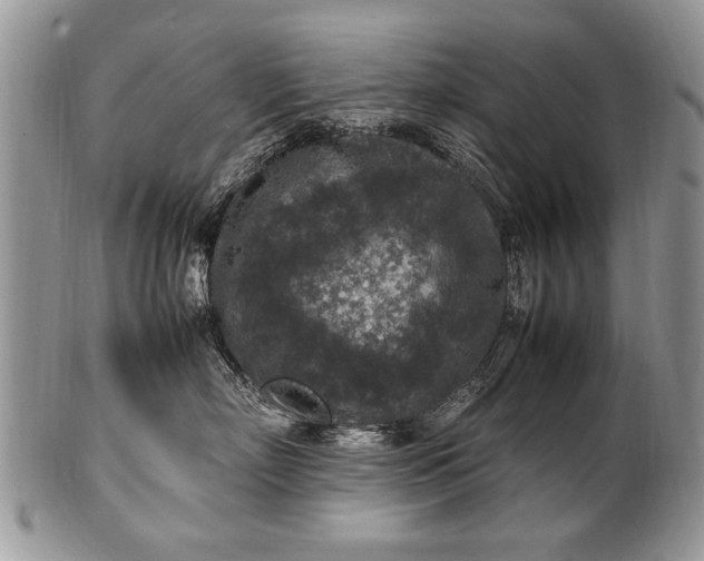 X0000100420718200806201822