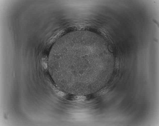 X0000100420719200806201822