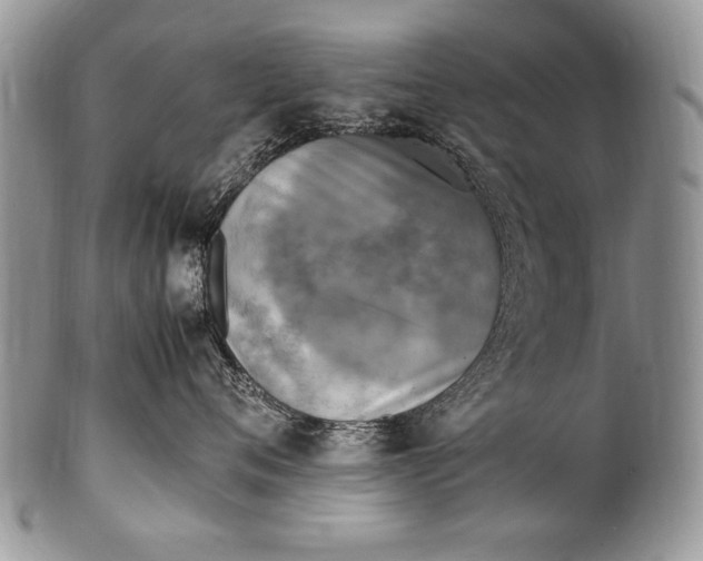 X0000100420720200806201822