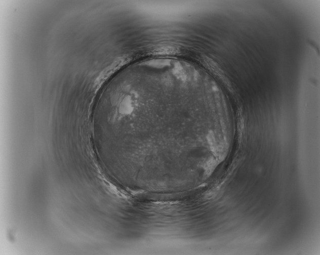 X0000100420721200806201822