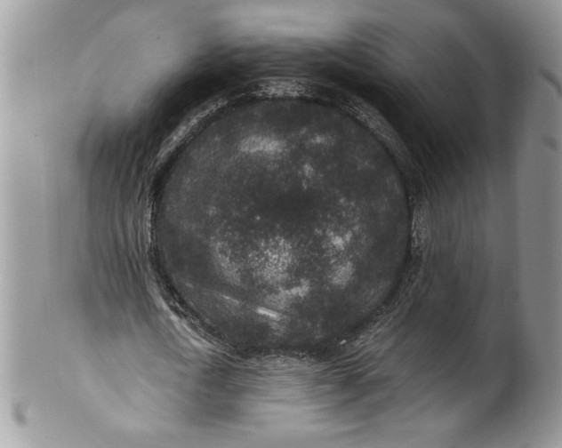 X0000100420722200806201822
