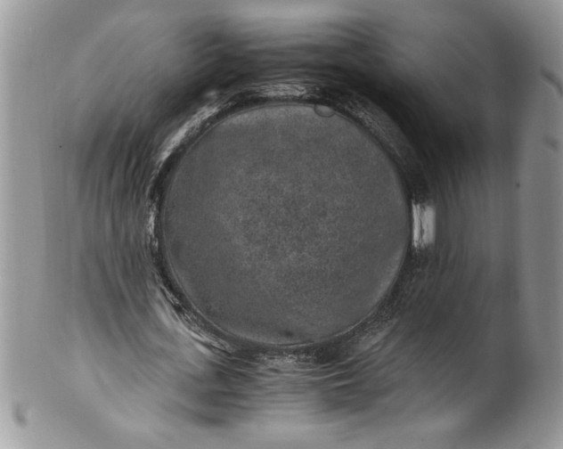 X0000100420723200806201822
