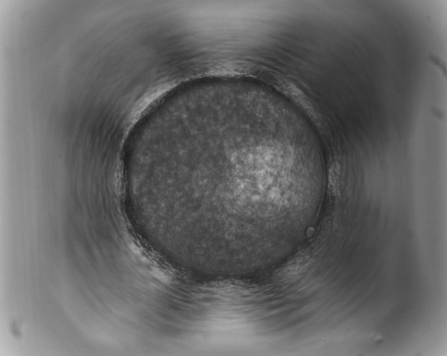 X0000100420724200806201822