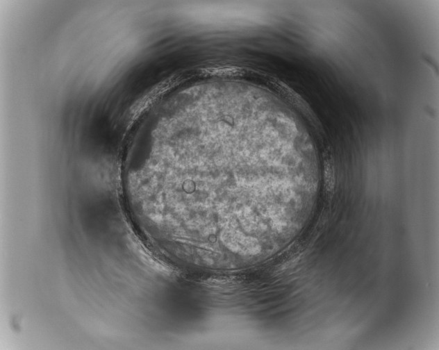 X0000100420725200806201822