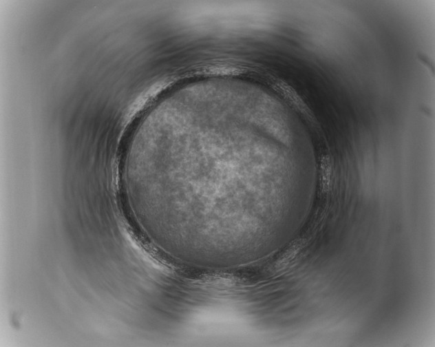 X0000100420726200806201822