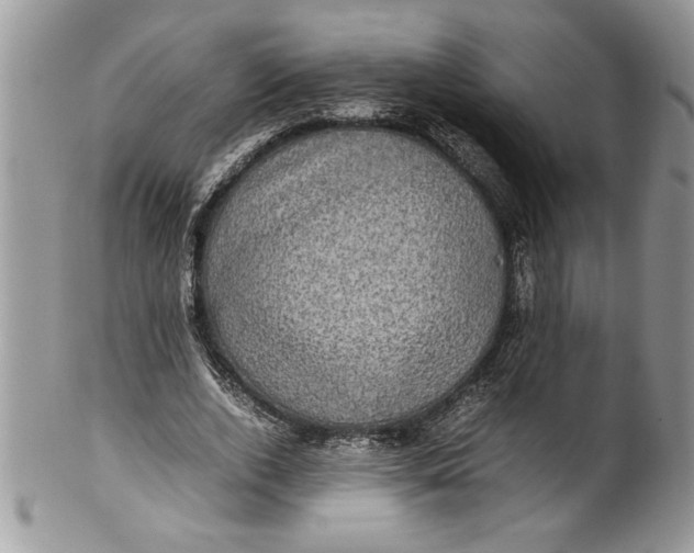 X0000100420728200806201822
