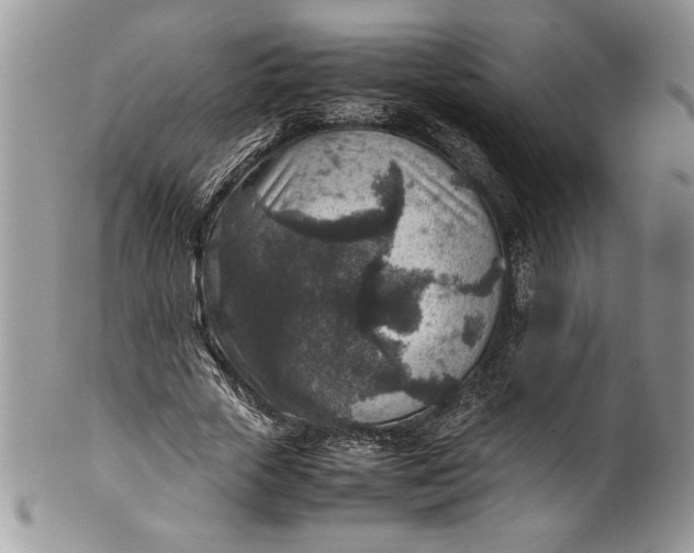 X0000100420729200806201822