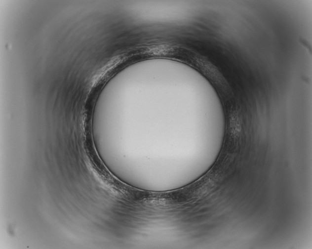 X0000100420730200806201822