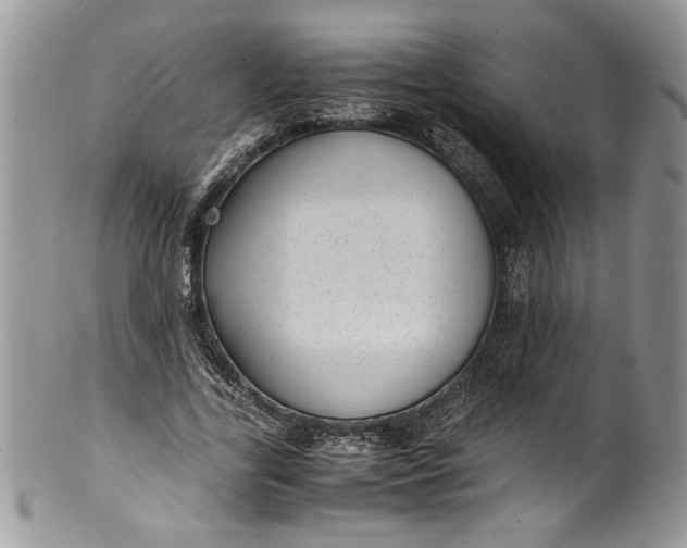 X0000100420731200806201822