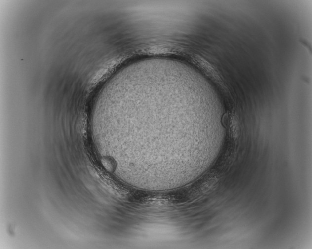 X0000100420732200806201822