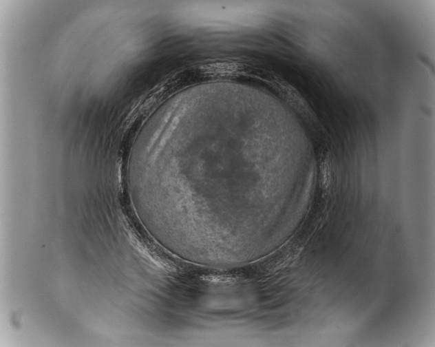 X0000100420733200806201822