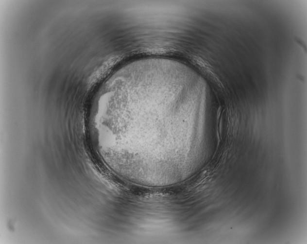 X0000100420734200806201822