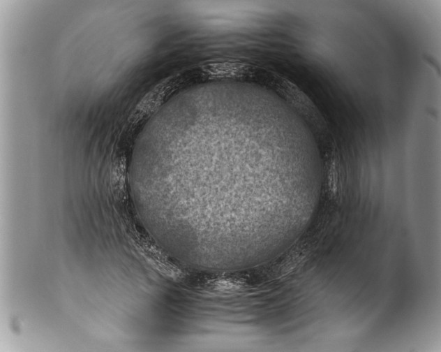 X0000100420737200806201822