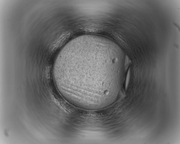X0000100420738200806201822