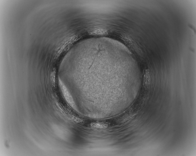 X0000100420739200806201822