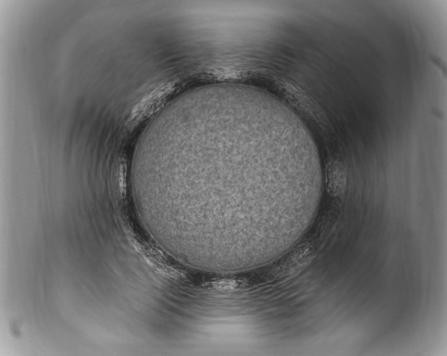 X0000100420740200806201822